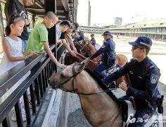 好博体育-多特蒙德训练开放日，清晨手感冰凉引欢呼，CBA季后赛在即，临场指挥获称赞
